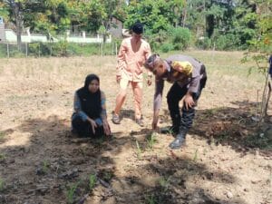 Polisi Cinta Petani, Polsek Rokan IV Koto Optimalkan Pendampingan dalam Penguatan Ketahanan Pangan Nasional di Desa Suligi