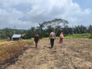 Antisipasi Cuaca Ekstrem, Polsek Rokan IV Koto Pastikan Lahan Jagung Lubuk Bendahara Tetap Produktif Menuju Swasembada Pangan Nasional